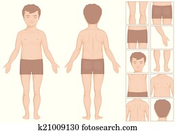 menino bebê, partes corpo