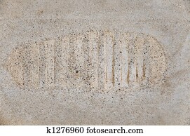 Replica of imprint of second man on the moon