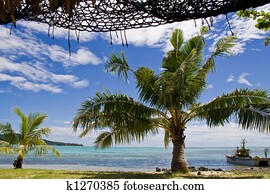 מושלם, חופש