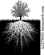 עץ, שורשים