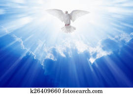 רוח קודש, יונה