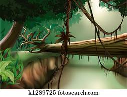 Jungle Jungle