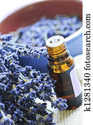 Lavender herb and essential oil Lavender herb and essential oil