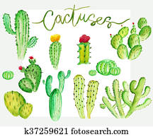 cactus set cactus set