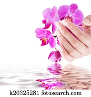 manicure and beauty background manicure and beauty background