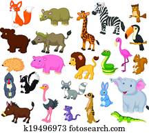 חית בר, ציור היתולי, אוסף