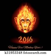 פטר, קוף, הובל