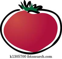 Tomato illustration Tomato illustration