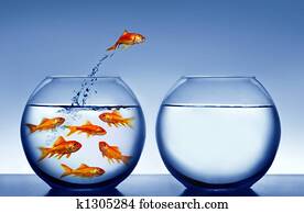 דג זהב, לקפוץ, out, של, *t*