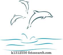 Dolphins Dolphins