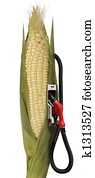 ethanol ethanol