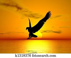 Flying Eagle Flying Eagle
