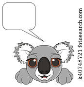 happy adult gray koala happy adult gray koala
