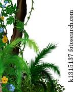 Jungle vegetation Jungle vegetation