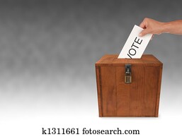 Submitting a Vote Submitting a Vote