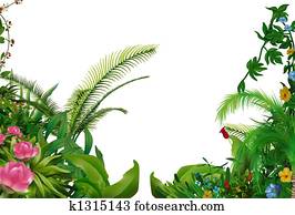 Tropical Plants Tropical Plants