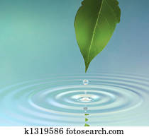 Water Ripple Water Ripple