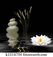 Zen Symbols Zen Symbols