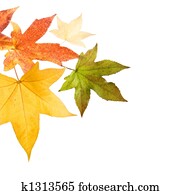 סתו, סתו עוזב