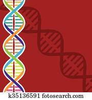 DNA DNA