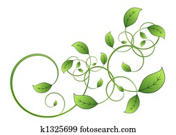 vine leaf vine leaf