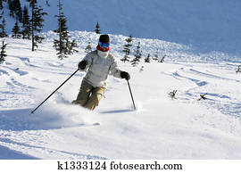 alpino, livre, esqui