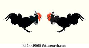 cock cock