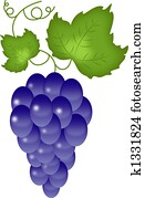 Grapes on the white Grapes on the white