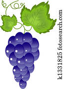 Grapes on the white Grapes on the white