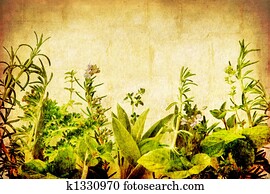 Grunge Herbs Grunge Herbs