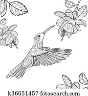 kolibri, ausmalbilder, für, erwachsene, vektor kolibri, ausmalbilder, für, erwachsene, vektor