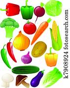 Vegetable vector Vegetable vector