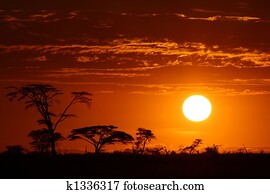 יפה, אפריקה, סאפארי, שקיעה