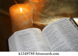 Bible Study Bible Study