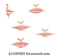 Body parts: mouths Body parts: mouths