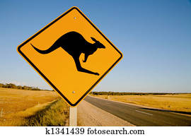 canguru, sinal aviso, austrália