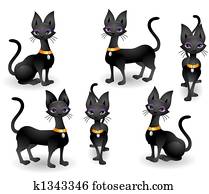 Cats Cats