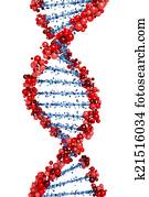 DNA helix DNA helix