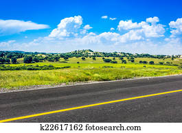 estrada, em, gramado