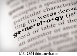 Genealogy