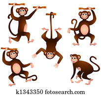 Monkeys Monkeys