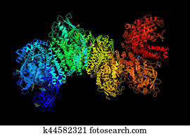 Transferrin receptor, a carrier protein for transferrin. Needed for the import of iron into the cell and is regulated in response to intracellular iron concentration. 3d rendering