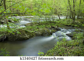 Tremont, Great Smoky Mtns NP, TN
