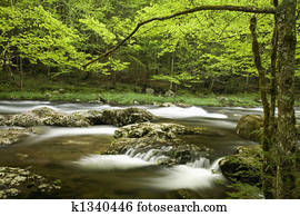 Tremont, Great Smoky Mtns NP, TN