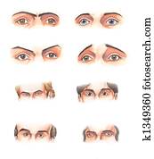 גוף, parts:, עיניים