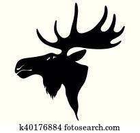 moose moose
