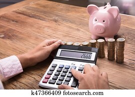 mulher, calculando, finanças