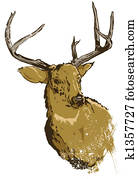 Wild deer Wild deer
