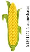 Corn Corn