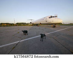 Desolation at 150 Km from Chernobyl